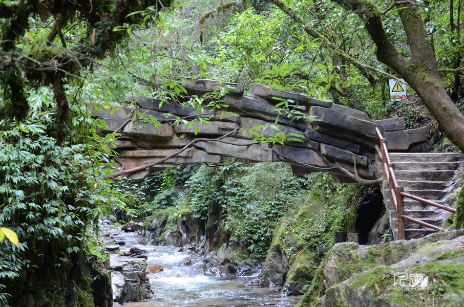 哀牢山探秘——新平戛洒自驾游图片80,哀牢山旅游景点