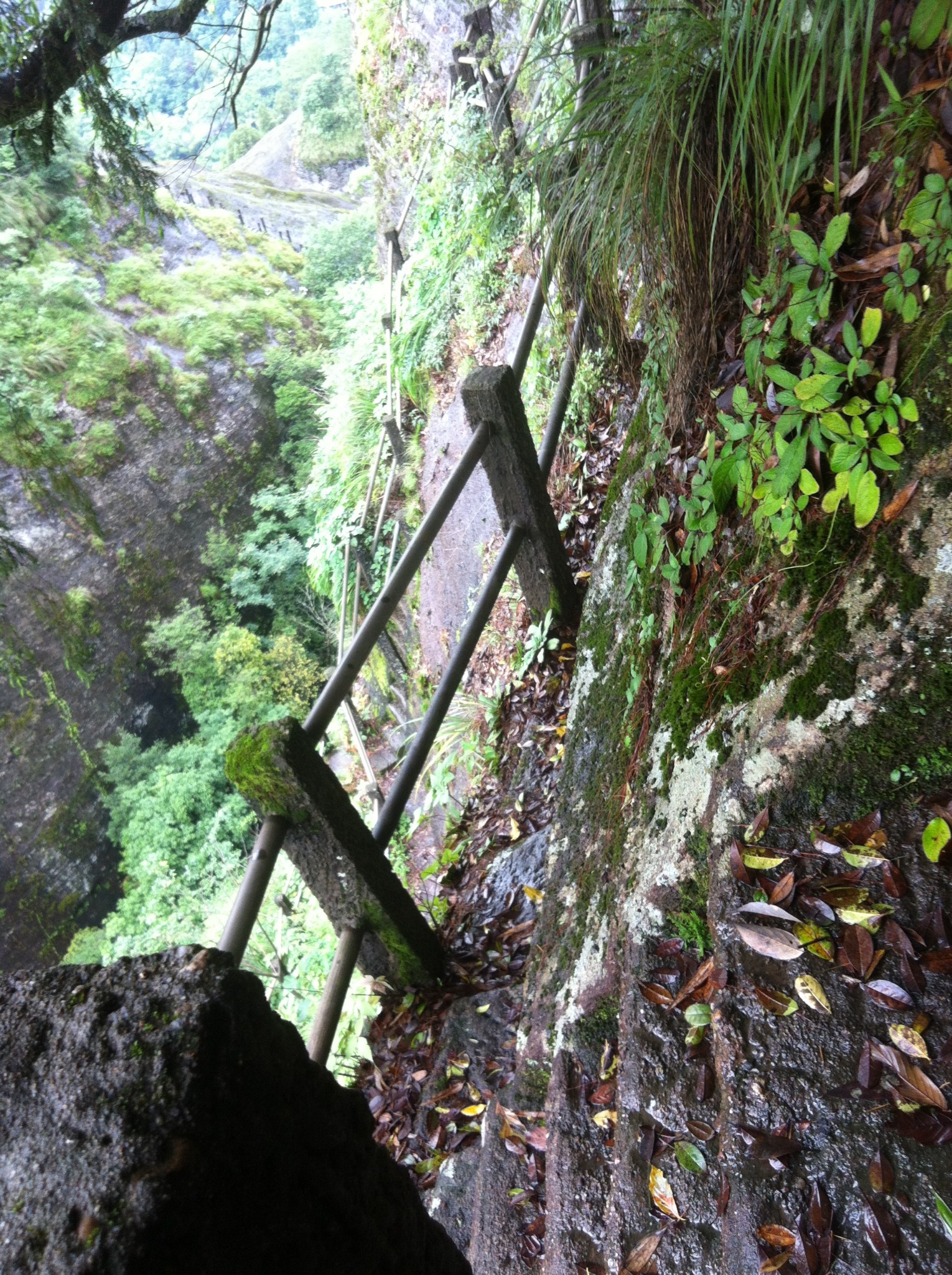 武夷山旅游攻略虎啸岩隐屏峰玉华峰天游峰大红袍