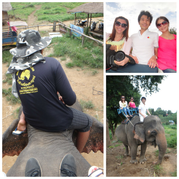 大象过河猜成语_大象小象过河图片(3)