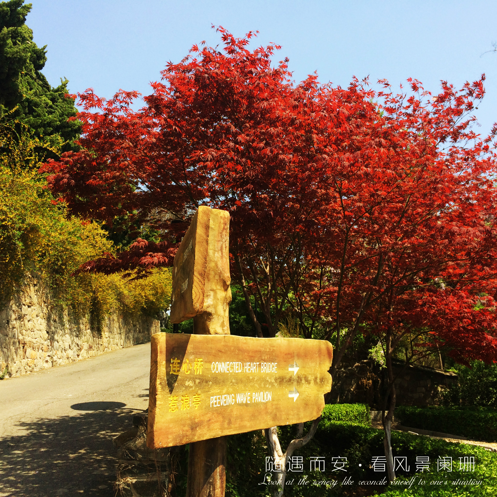 消夏计划#随遇而安,看风景阑珊 ;时光之里,一路向北.