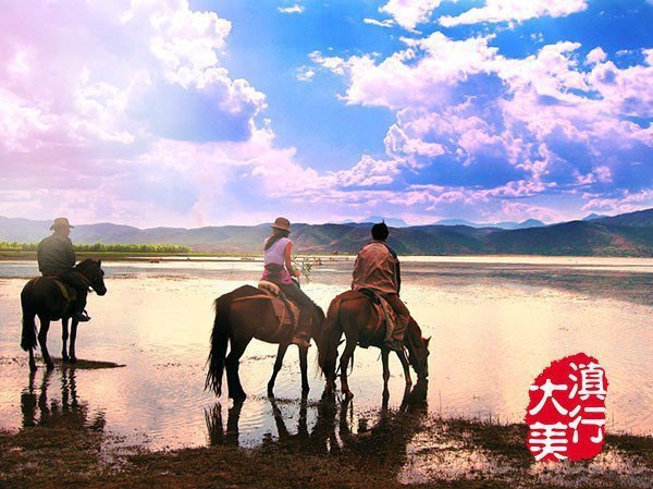 拉市海游玩攻略拍照,拉市海湿地公园游玩攻略