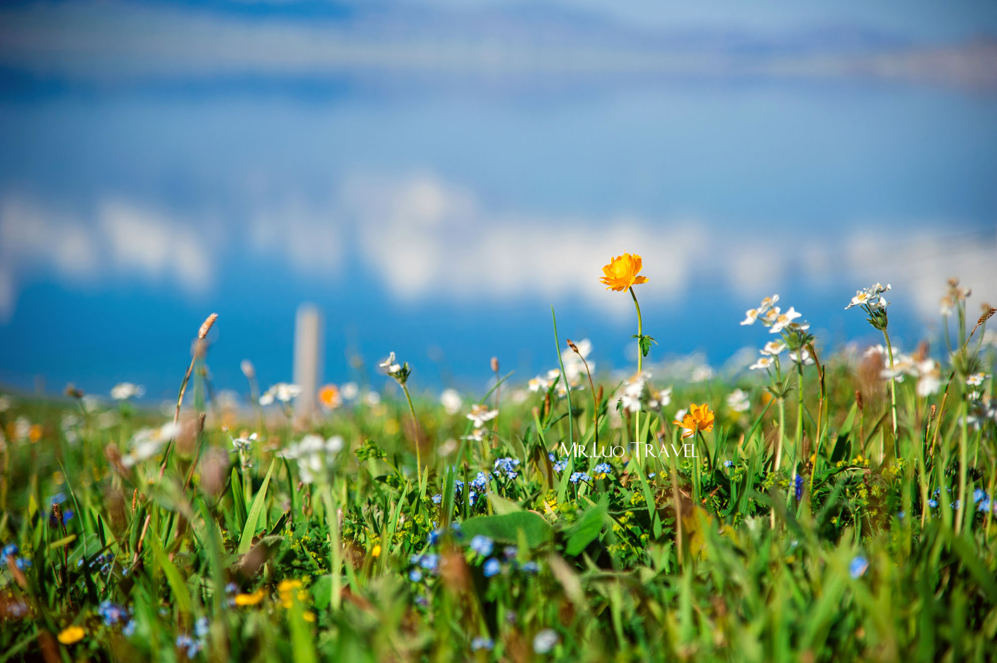 7月底打算暑假带孩子去新疆，适合去南疆还是北疆呢