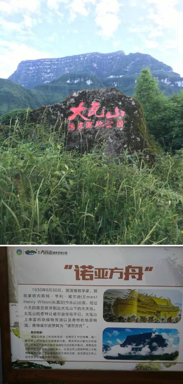 登上"诺亚方舟"——大瓦山游记,乐山自助游攻略 - 马