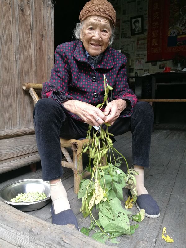 婺源96岁农村老太的第一次厦门旅行