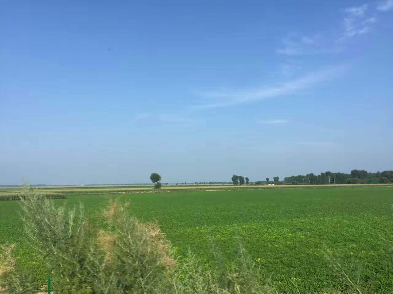 五大连池多少人口_五大连池风景区(3)