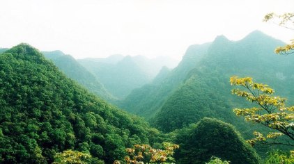 河池龙滩大峡谷国家森林公园门票
