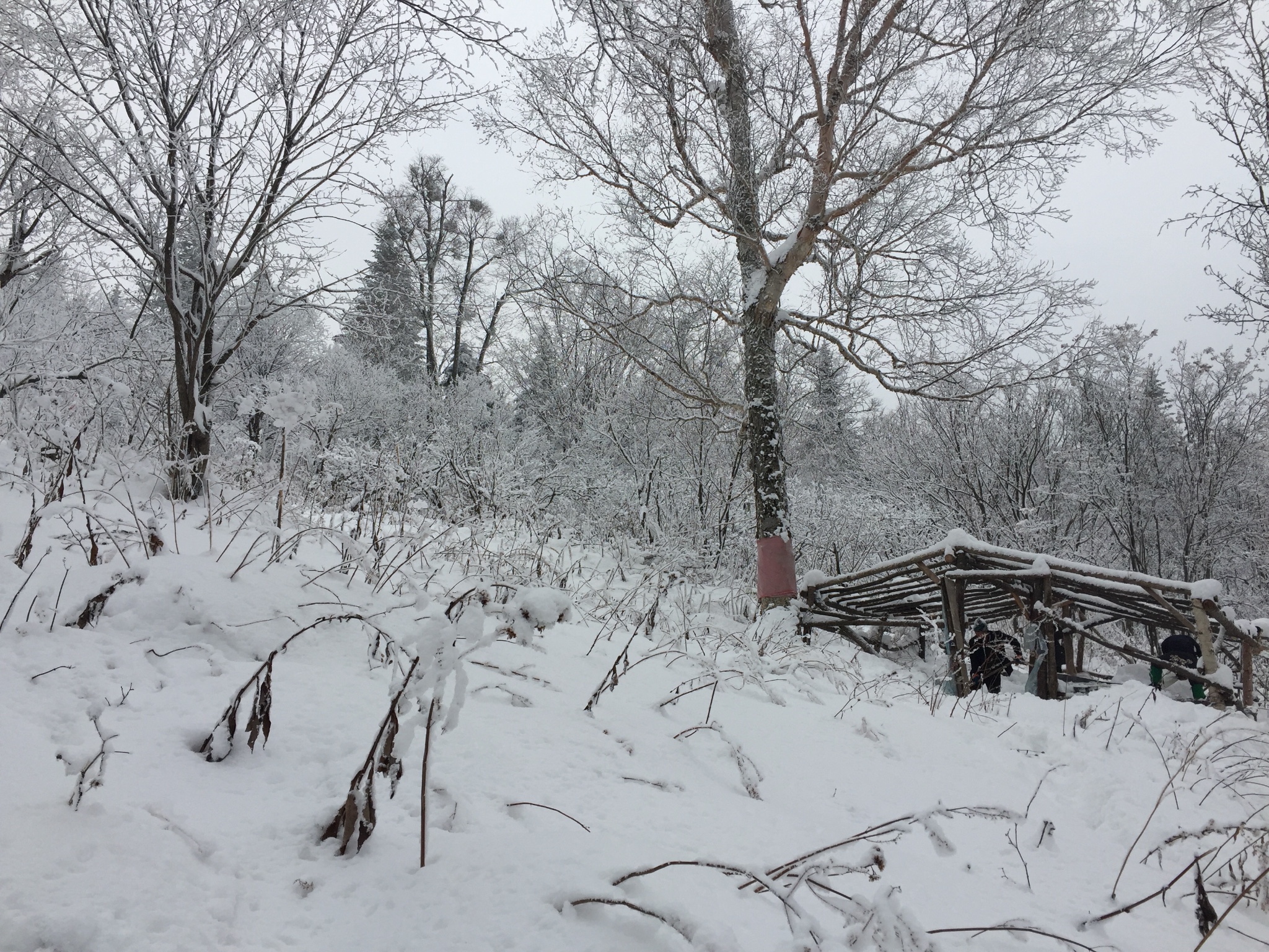 一路向北 去北方以北 感受最冷的寒冷 触摸最雪的雪天