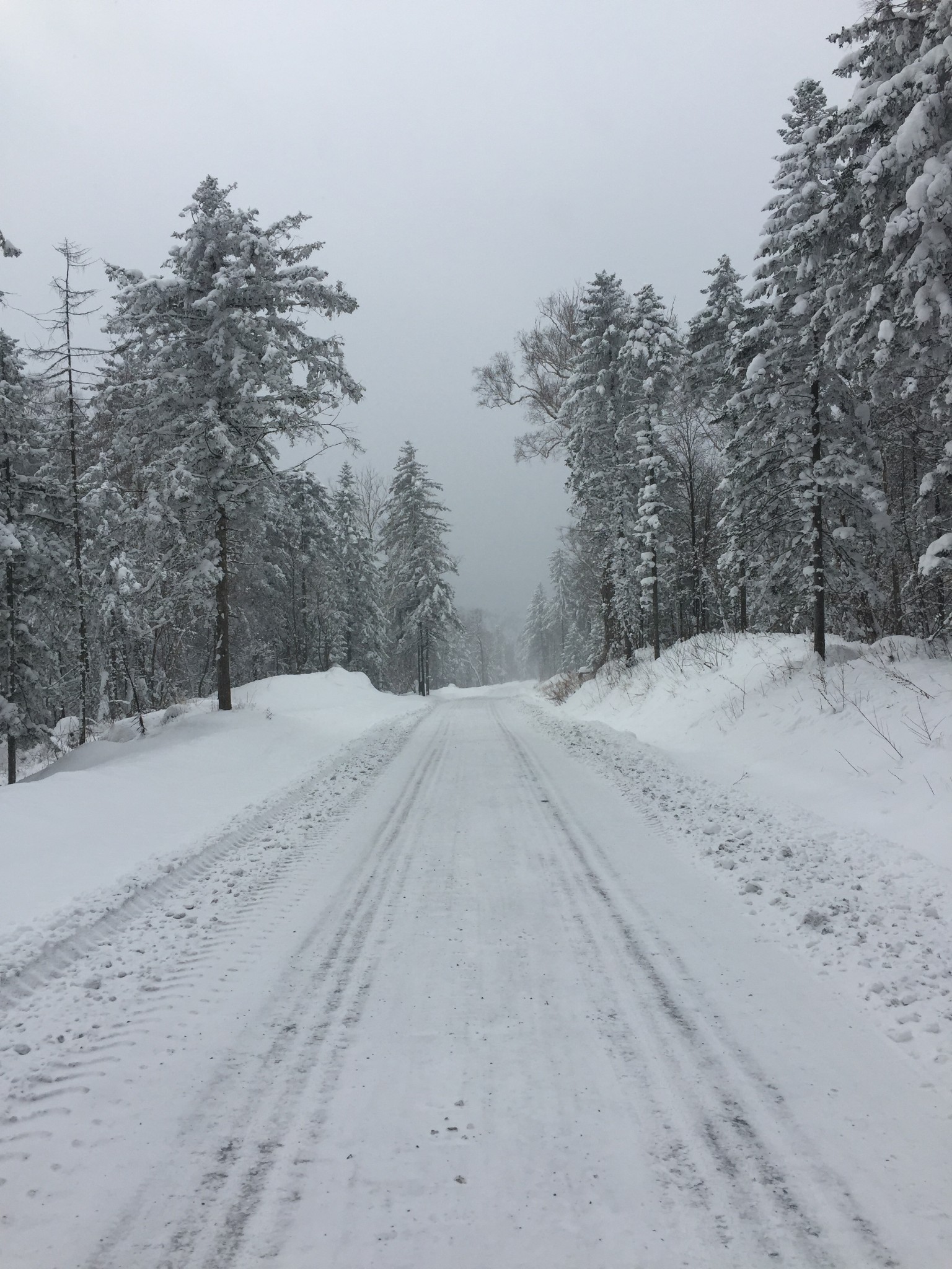 一路向北 去北方以北 感受最冷的寒冷 触摸最雪的雪天