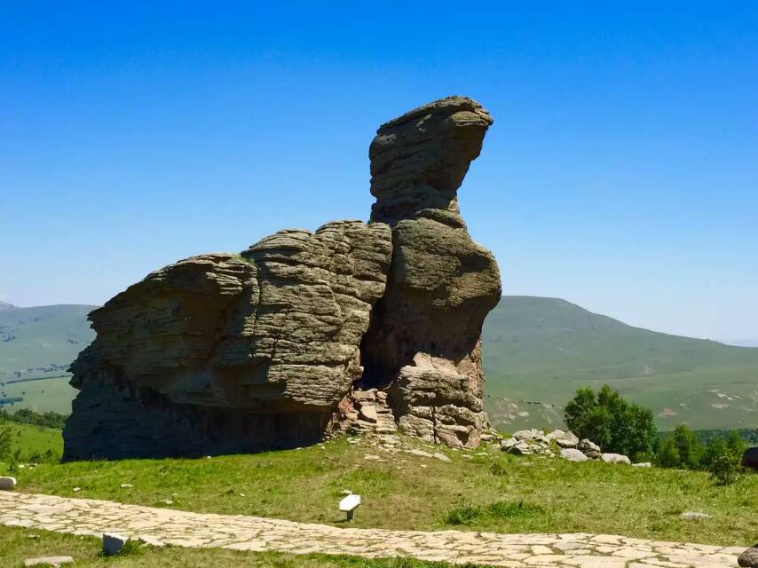 wKgBs1aZwdSAUhQ4AAELZEF9FHI58.jpeg?imageView2%2F2%2Fw%2F600%2Fh%2F600%2Fq%2F90