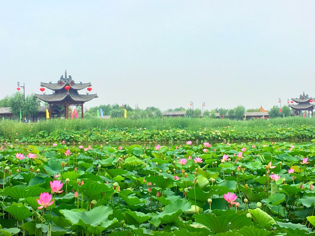 淮阳景点介绍,淮阳旅游景点,淮阳景点推荐 - 马蜂窝