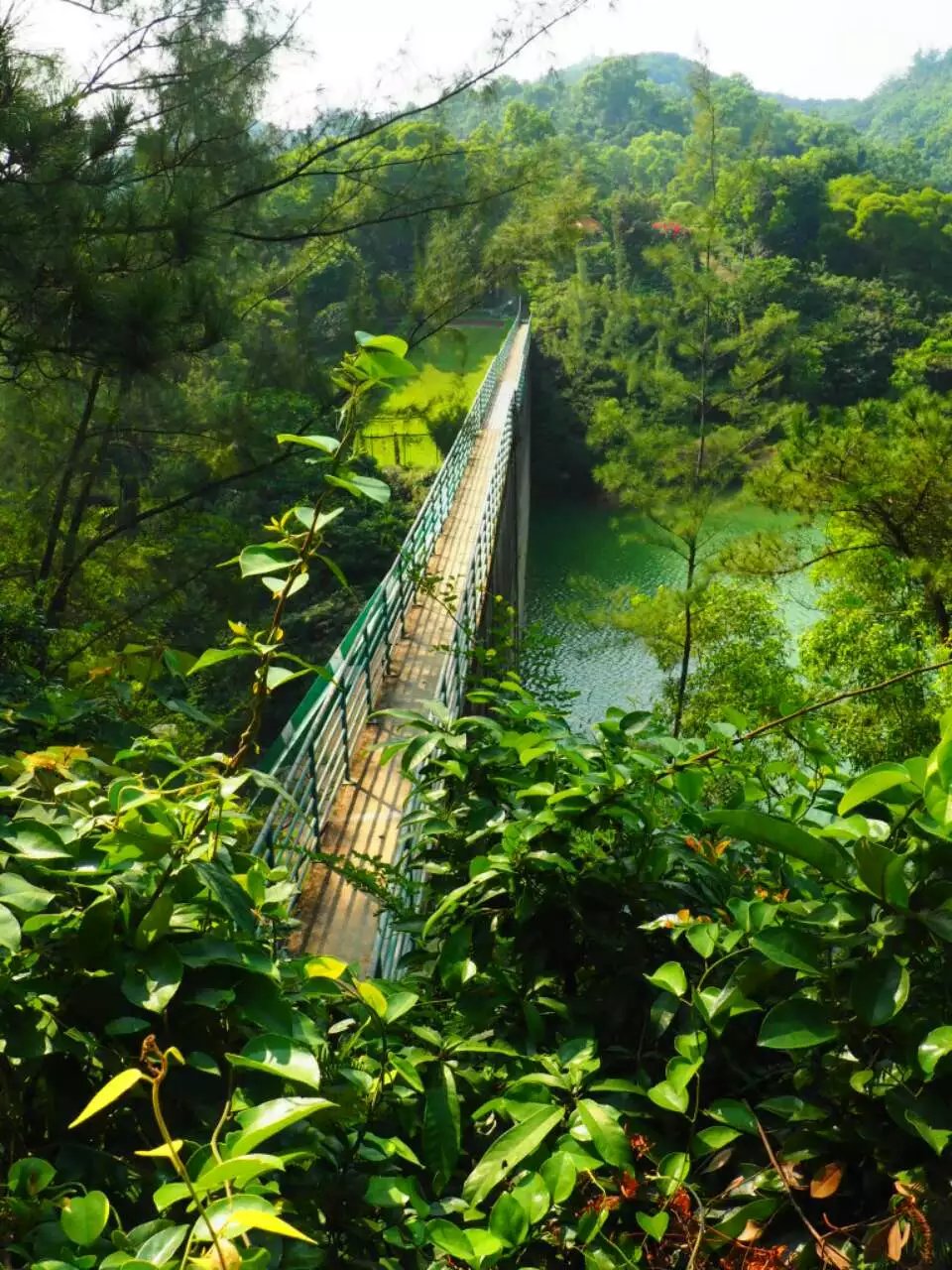 澳门:黑沙水库郊野公园