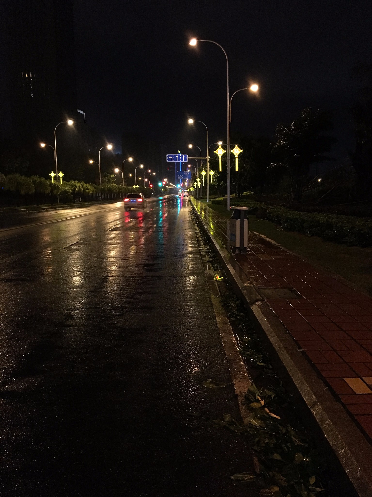 雨夜的江滨大道