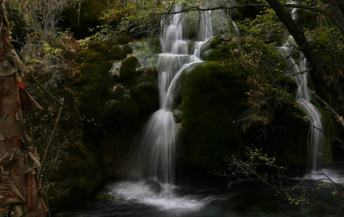 wKgBs1hZ5qiAFLY9AAFhYDwLiy415.jpeg?imageView2%2F2%2Fw%2F600%2Fh%2F600%2Fq%2F90