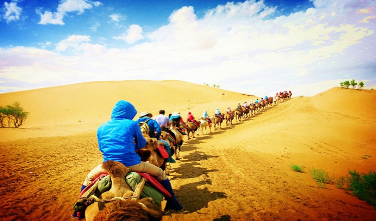 宁夏沙坡头旅游区 门票,玩乐套票> 宁夏旅游 宁夏景区