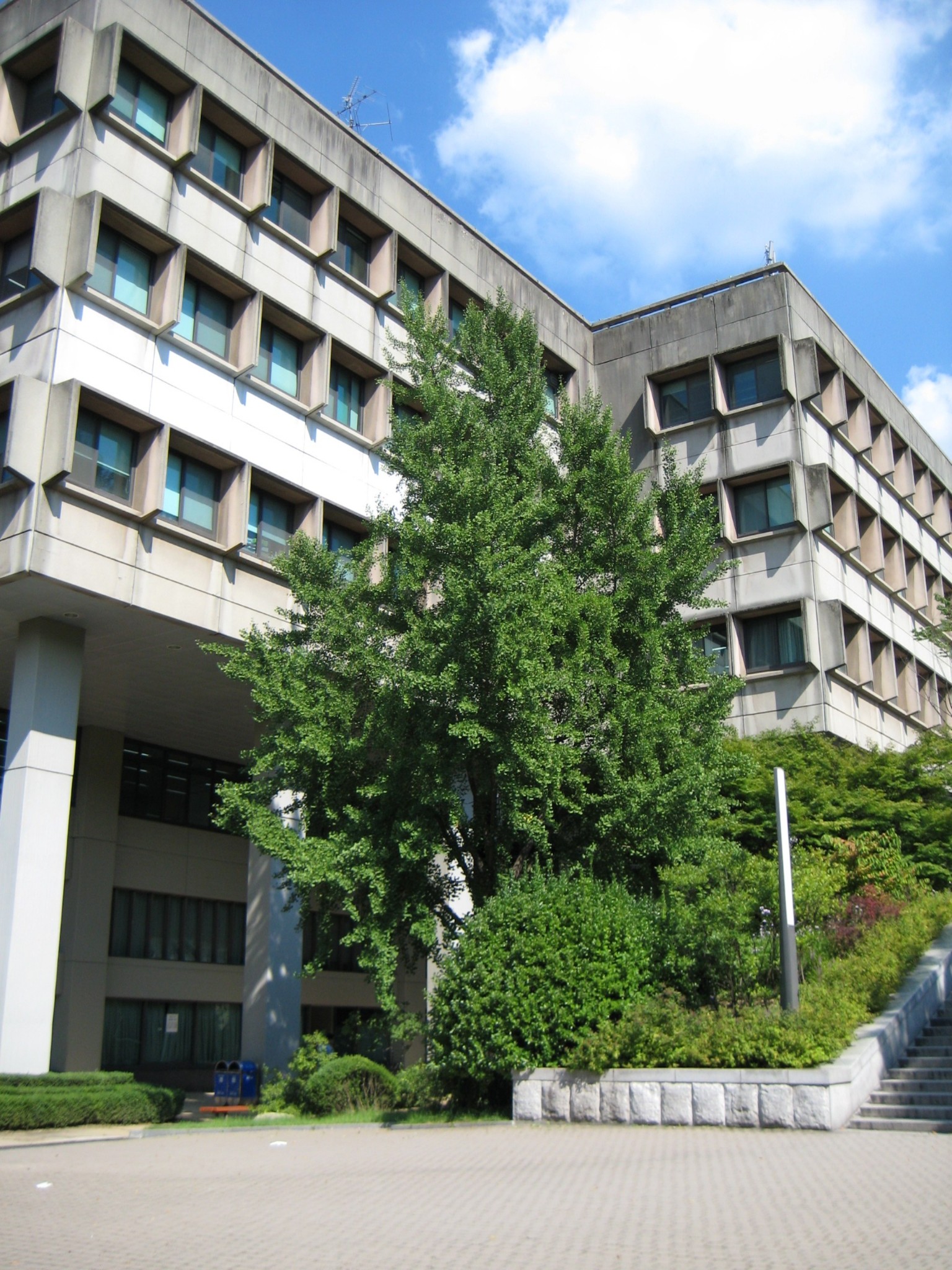 2008年8月韩国延世大学梨花女大首尔大学