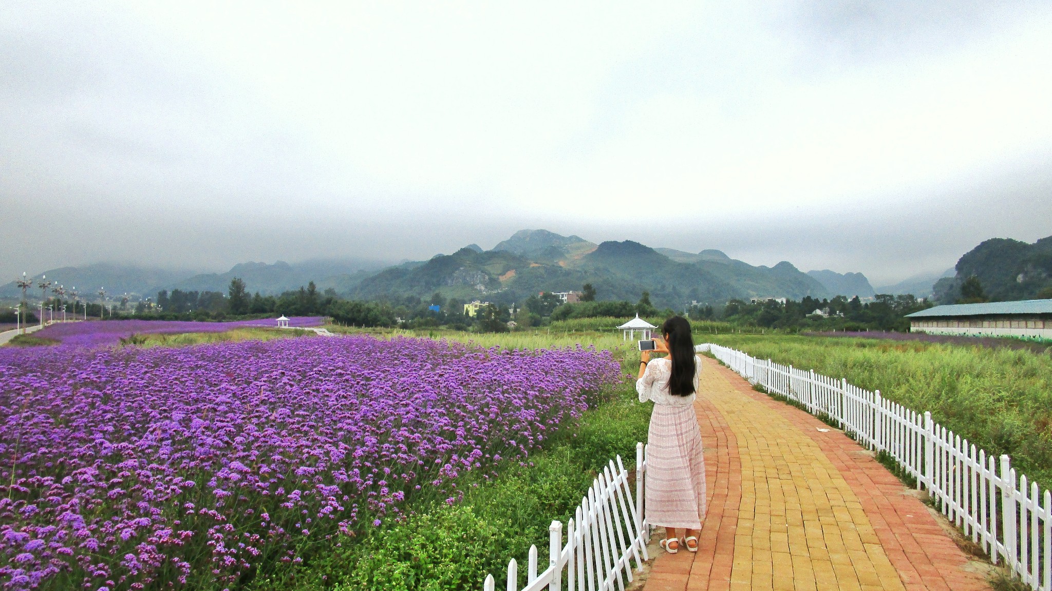 阿西里西(韭菜坪),跟随摄影师们的贵州屋脊之旅