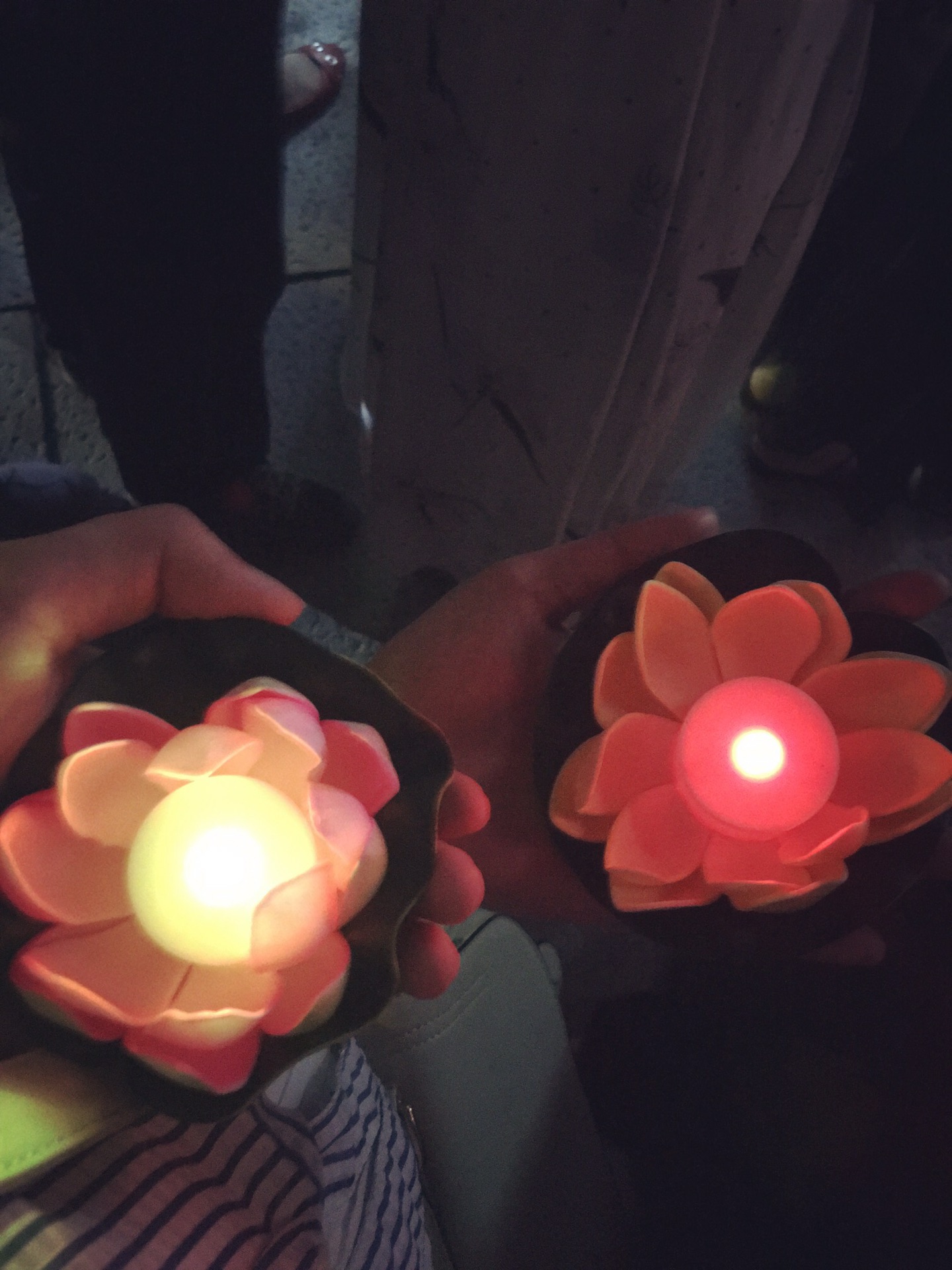 晚八点之前,会由一位法师将心灯发给每个人,双手捧于胸前感谢佛祖庇佑