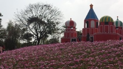 东莞梦幻百花洲门票