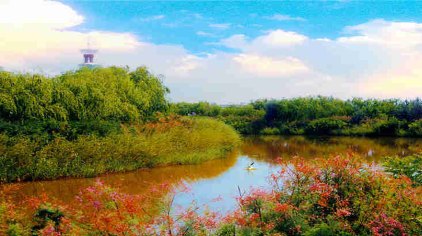 银川银川鸣翠湖国家湿地公园门票