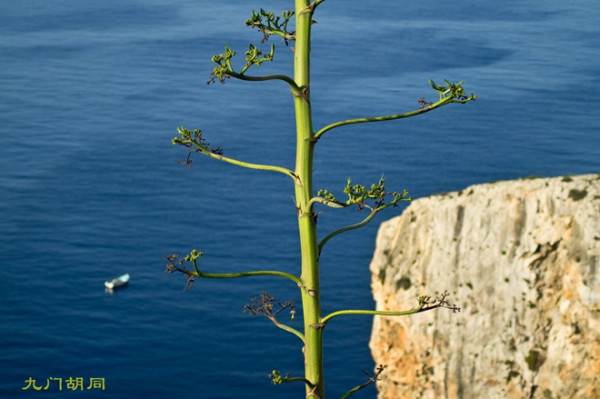 马耳他的“蓝洞”,马耳他旅游攻略