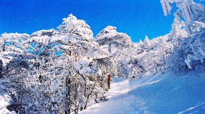 禄劝轿子雪山门票