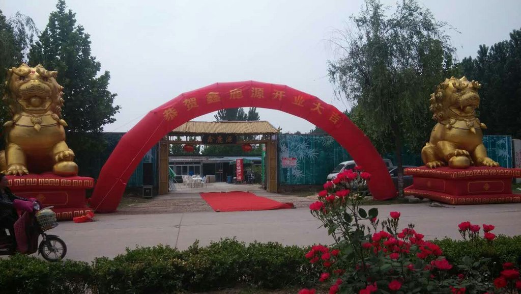加纳 人均_詹妮弗·加纳(2)