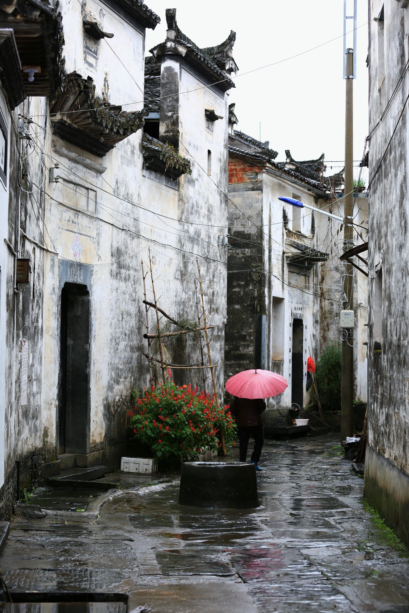 浙源乡凤山村