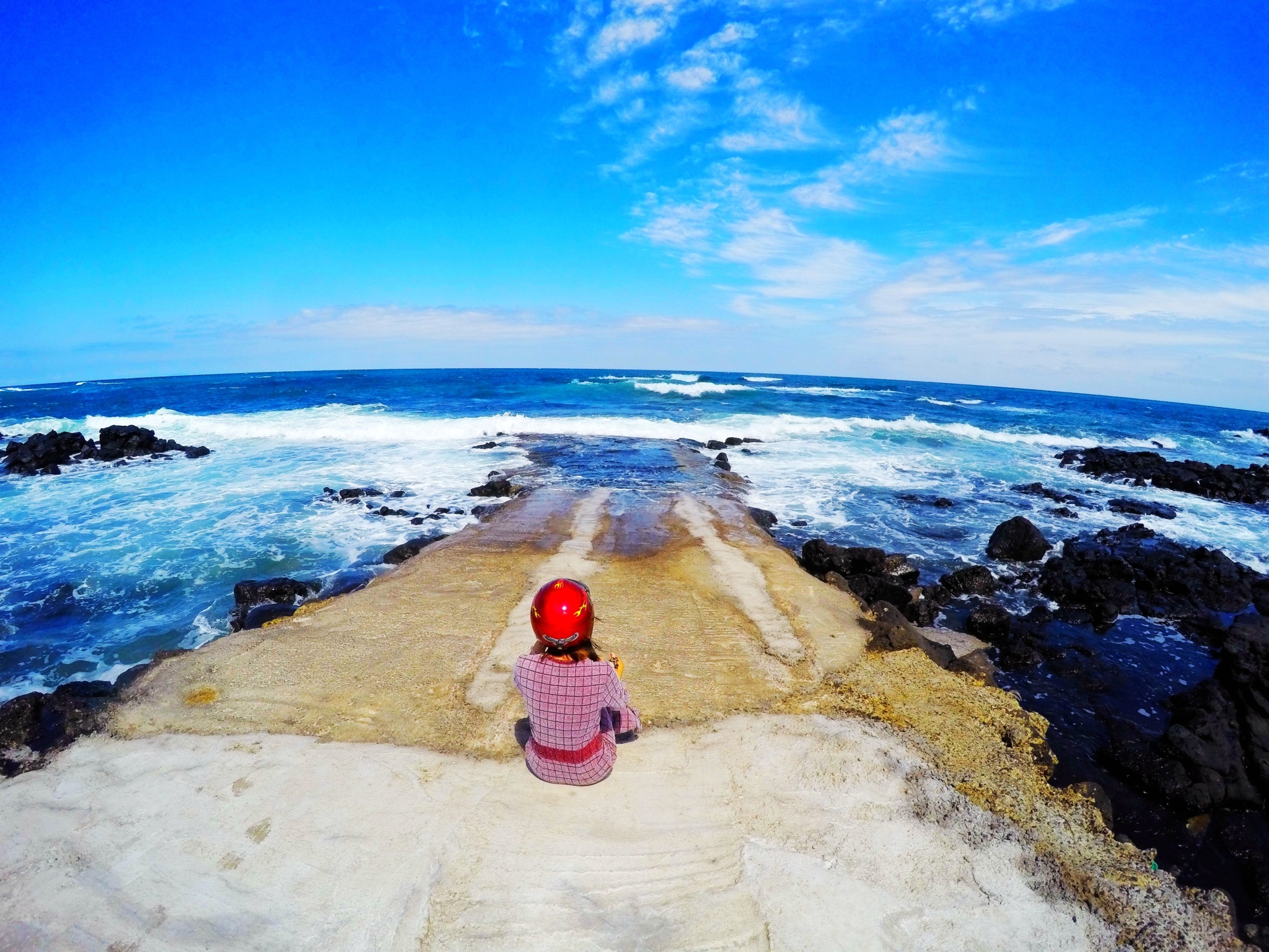 济州排名_济州真柏盆景图片(3)