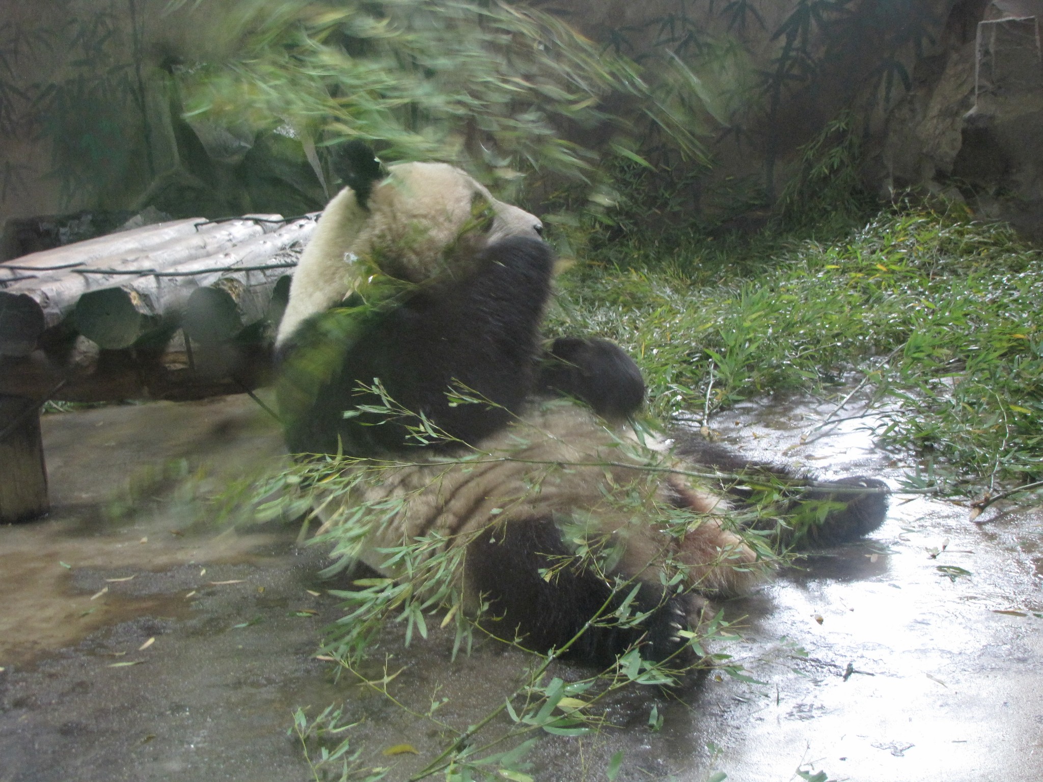 千岛湖有多少人口_千岛湖底下有古城吗(3)