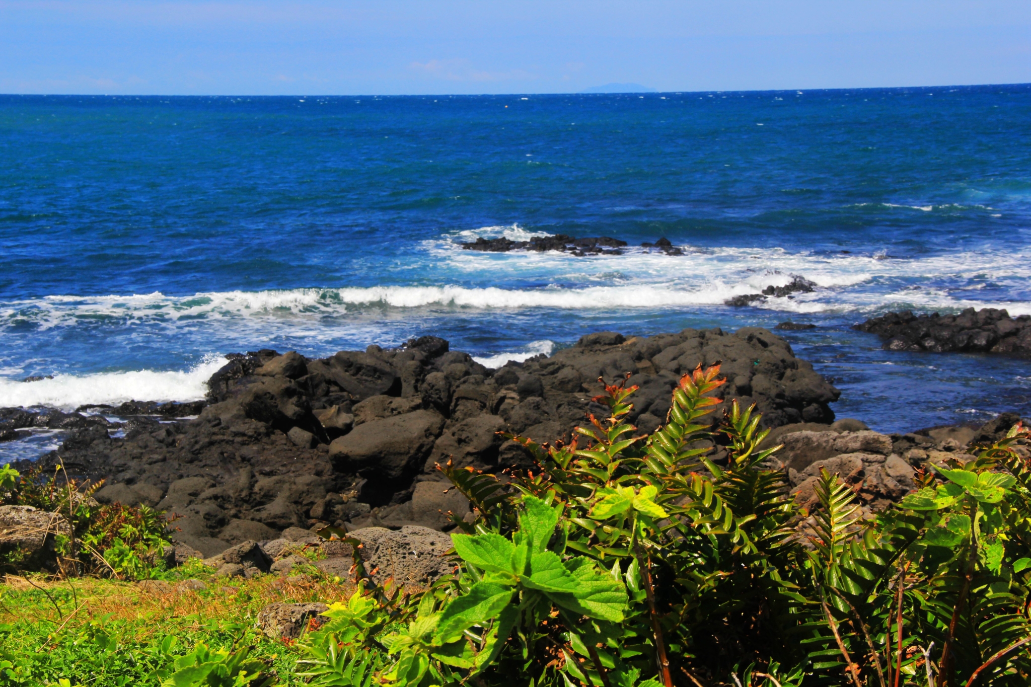 济州排名_济州真柏盆景图片(2)