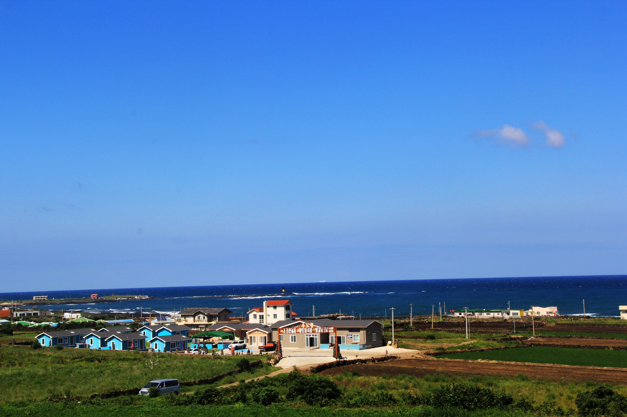 济州排名_济州真柏盆景图片
