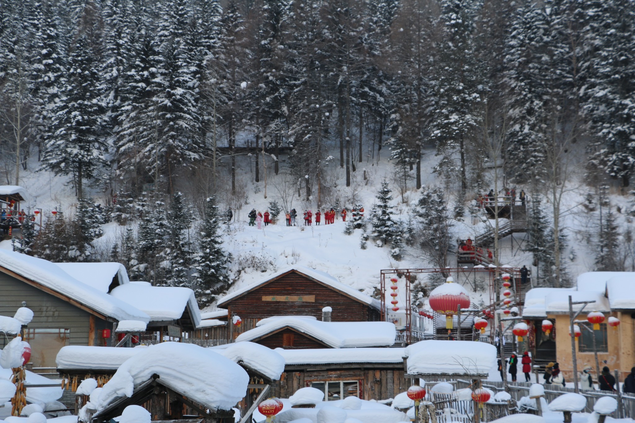 查干湖——在北方北的大雪纷飞里,像孩子一样奔跑