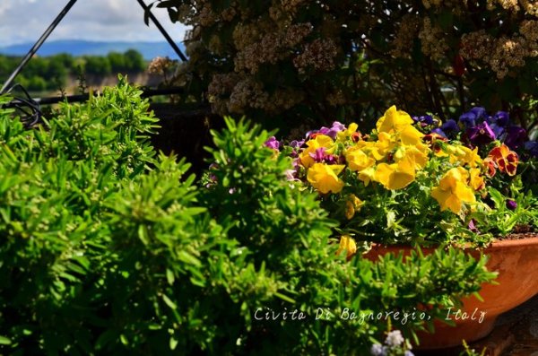 在天空之城,西西里和马耳他的七天,马耳他自助