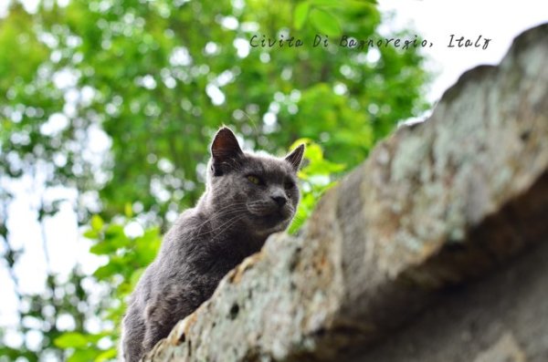 在天空之城,西西里和马耳他的七天,马耳他自助