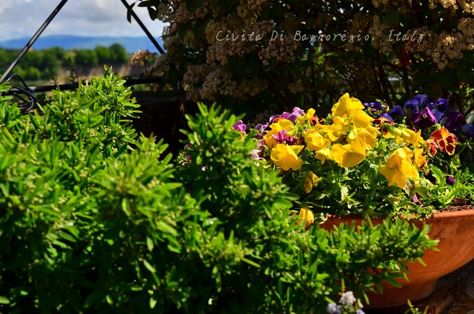 在天空之城，西西里和马耳他的七天,马耳他自助