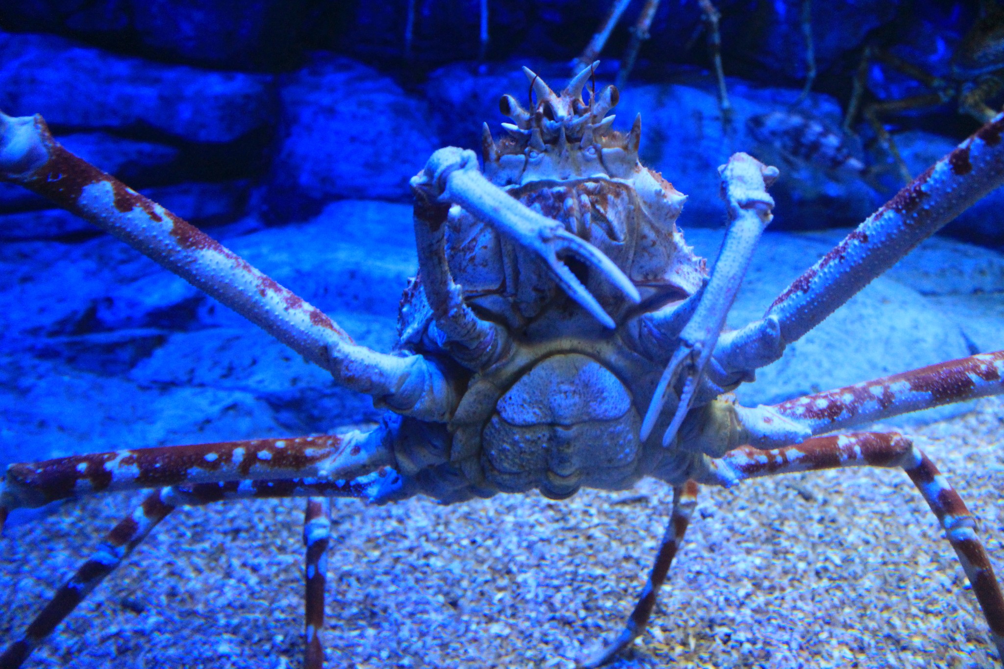 新加坡酒店_新加坡旅游景点_新加坡收入消费(2)