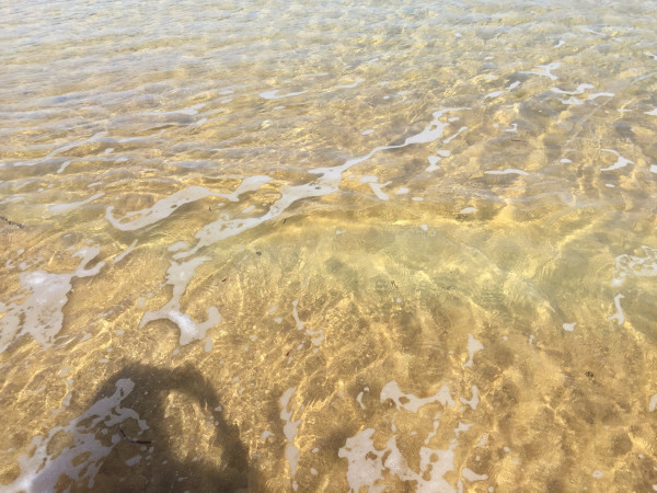 迷醉于马耳他的宝蓝色,马耳他旅游攻略