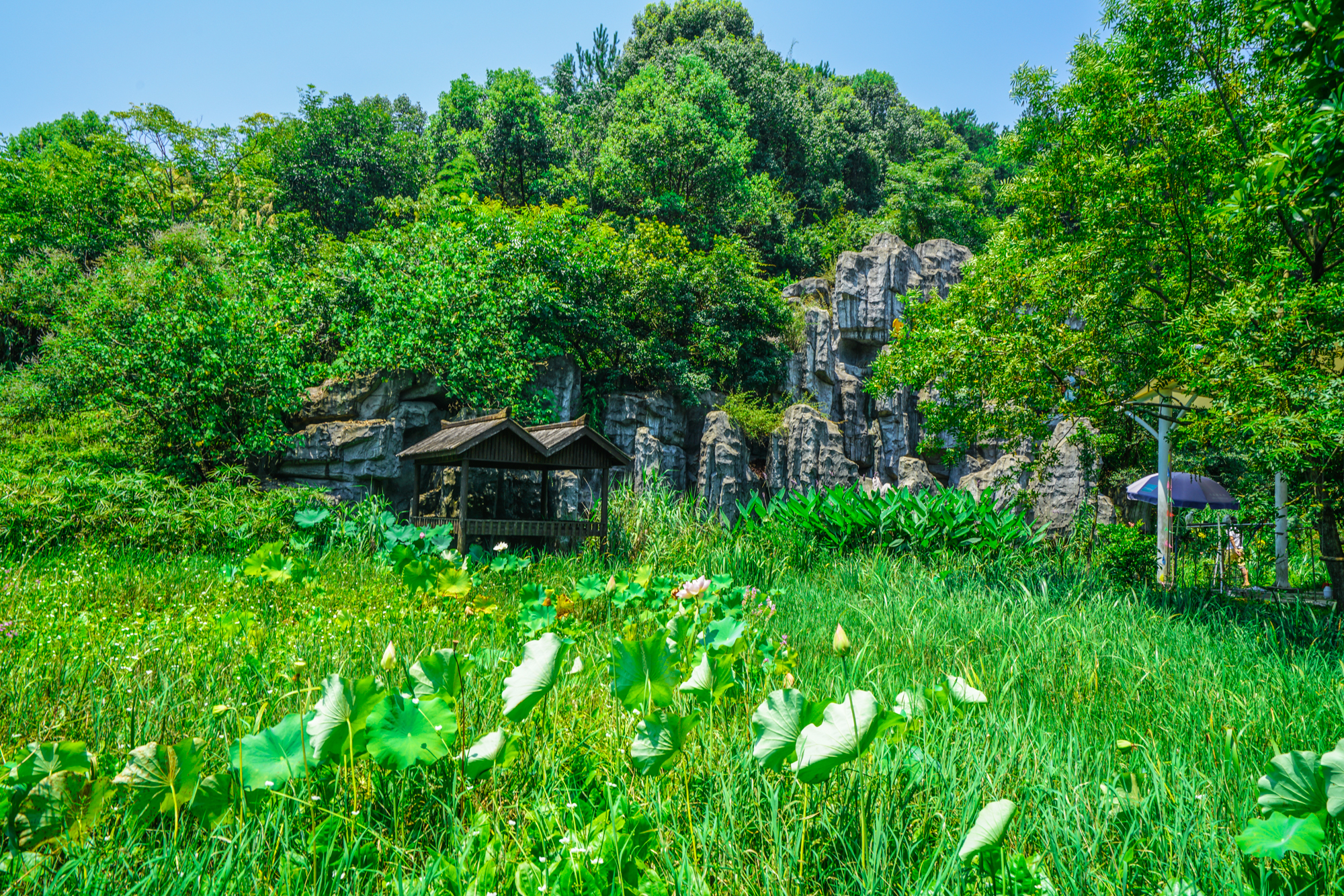 各国gdp背景音乐叫什么_音乐背景图片(3)