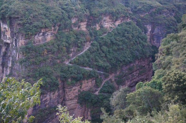 武定路游玩攻略,武定路游玩攻略一日游