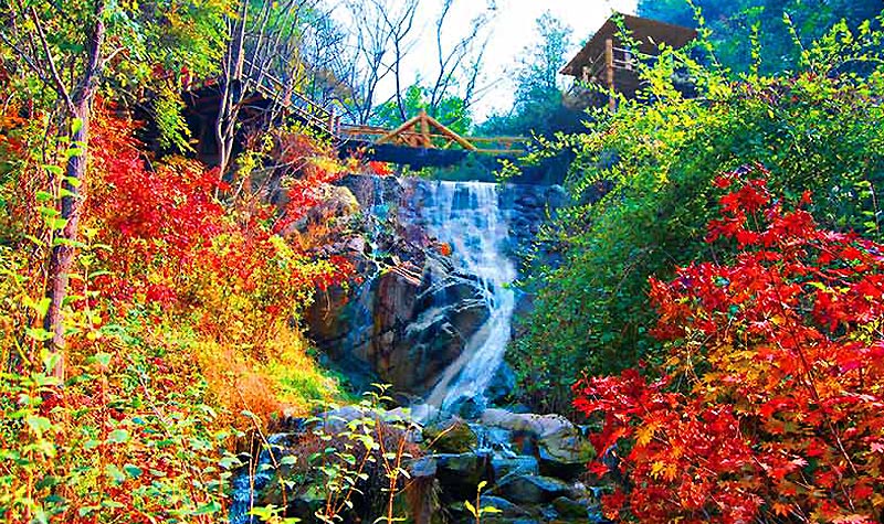 【济南门票】九如山风景区门票(云蒸霞蔚,深壑幽谷,瀑布飞练,银雪倾泻