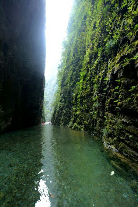 wKgBs1fY9GmAZn8mAAEQ9OduMKI38.jpeg?imageView2%2F2%2Fw%2F680%2Fq%2F90%7CimageMogr2%2Fstrip%2Fquality%2F90