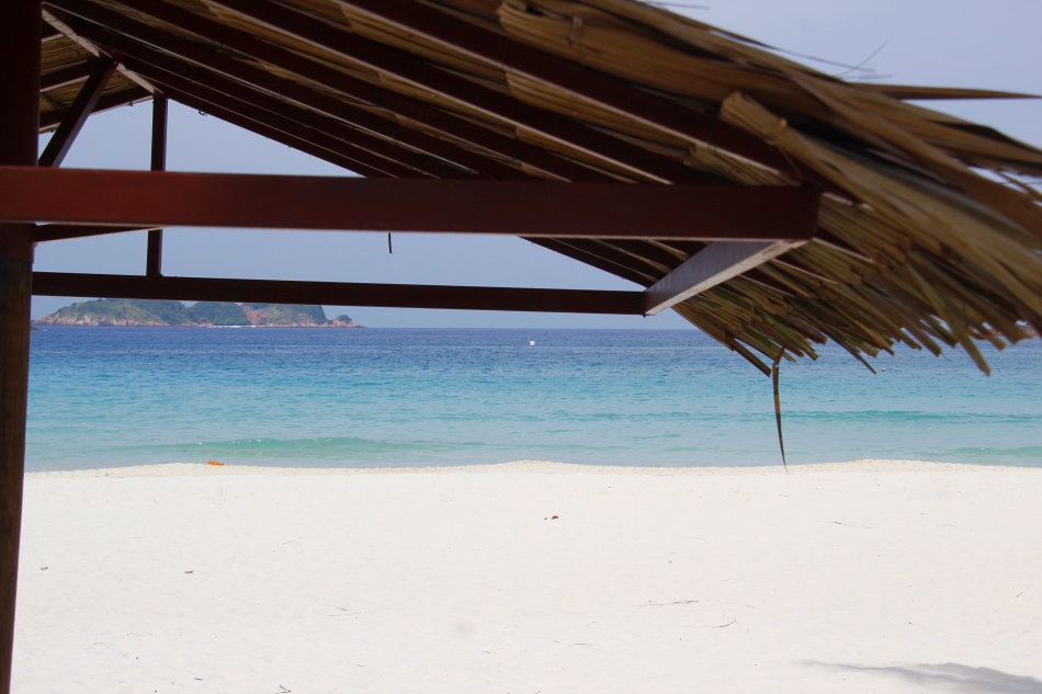 成语什么楼林_成语故事图片(2)