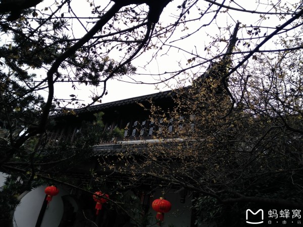 寒冬腊月盼春风完整版 wKgBs1hJZJSAf_AOABDM0rf-tnI84.jpeg?imageView2%2F2%2Fw%2F600%2Fh%2F600%2Fq%2F90