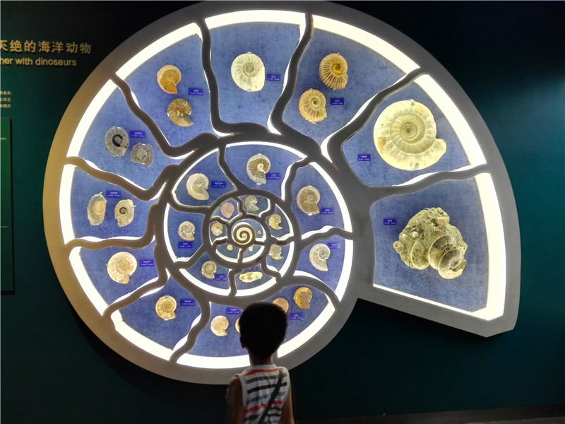 北京适合孩子的博物馆有哪些，北京值得带孩子去的博物馆推荐 