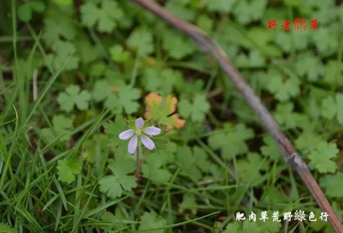 wKgBs1bzXWmAY6W1AACPvn6jg7E75.jpeg?imageView2%2F2%2Fw%2F600%2Fq%2F90%7CimageMogr2%2Fstrip%2Fquality%2F90