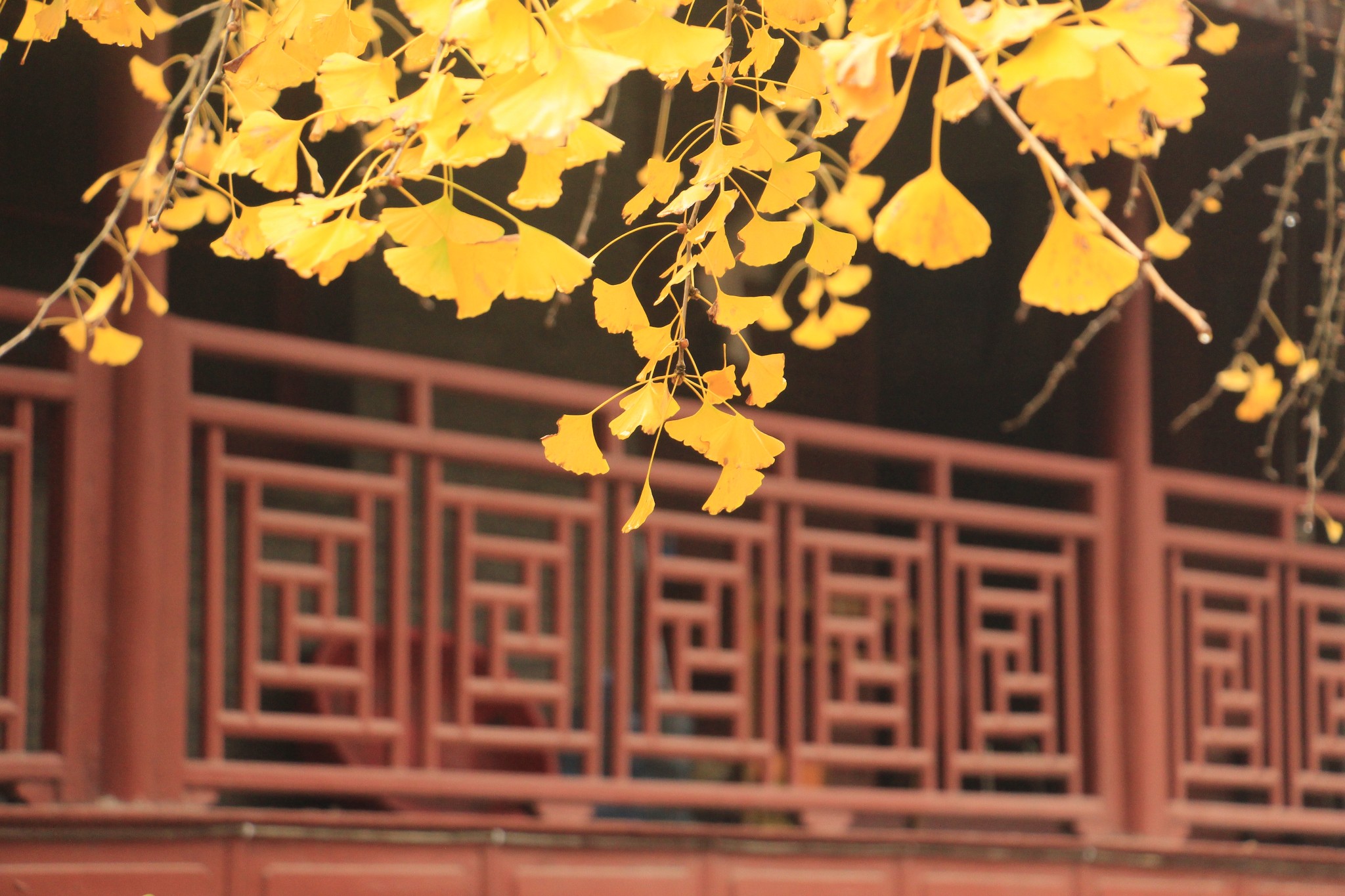 几月份去南京最好，天气怎么样，去几天合适