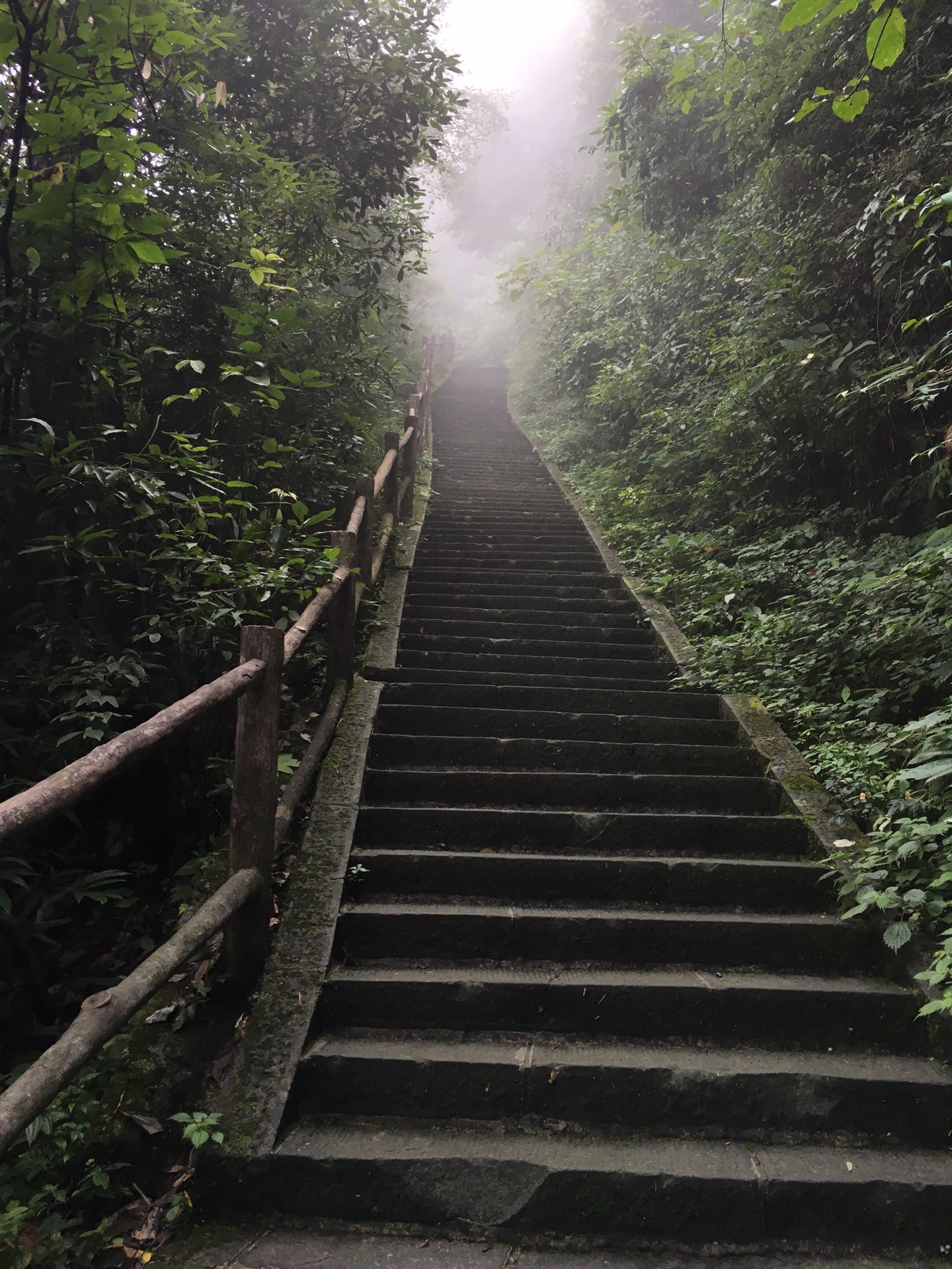 九老洞---仙峰寺---遇仙寺---九岭岗---钻天坡---洗象池(12.5公