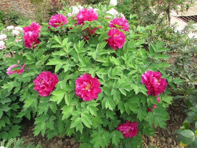 wKgBs1cMx62APhg6AAHbH5uZIgA51.jpeg?imageView2%2F2%2Fw%2F600%2Fq%2F90%7CimageMogr2%2Fstrip%2Fquality%2F90
