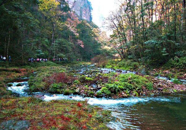 铜锣坝原始森林游玩攻略,