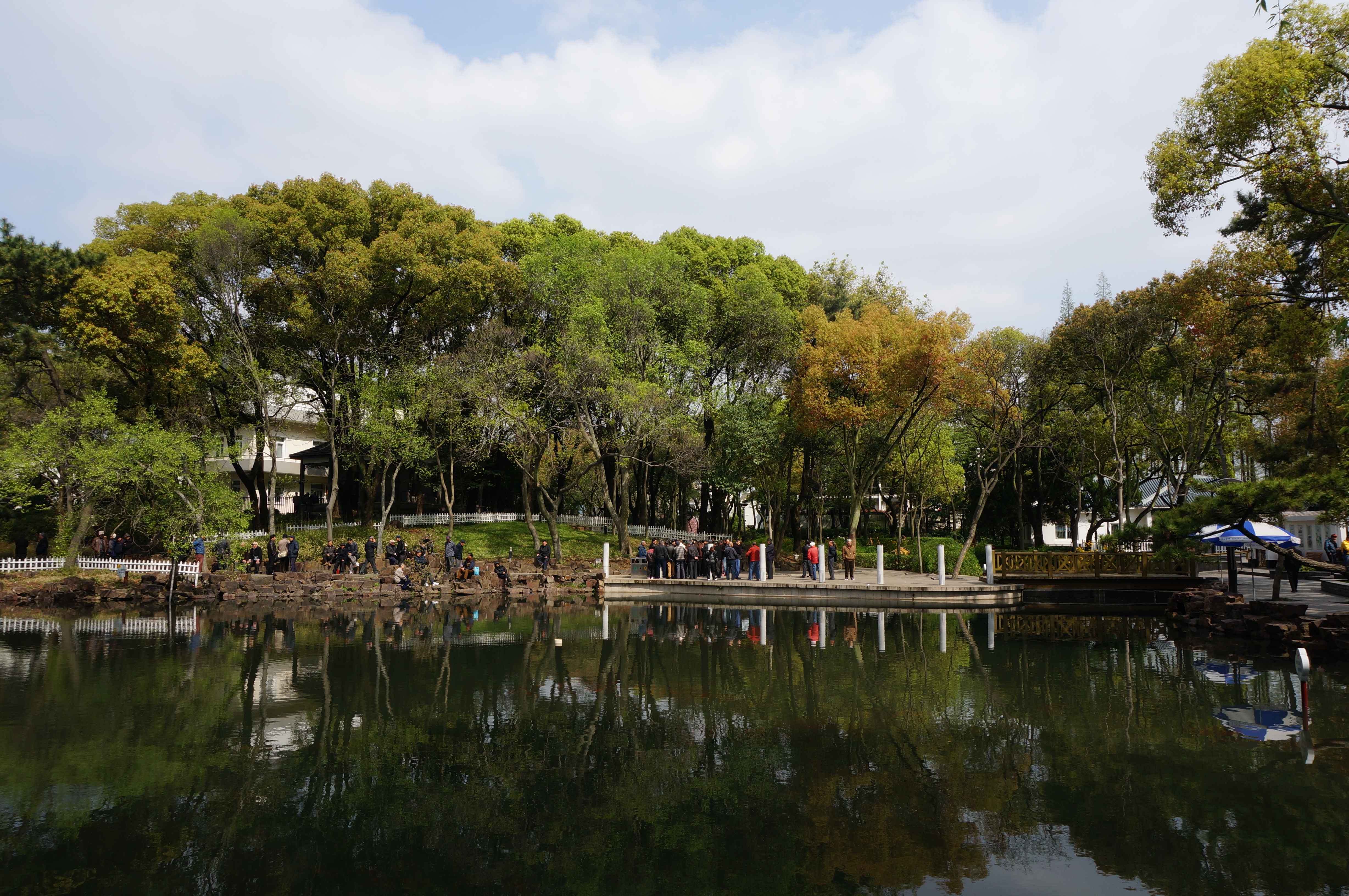 国内游 周末游桐泾公园是苏州市中心城区最大的市级公园.